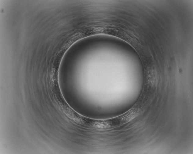 X0000054390275200508011301