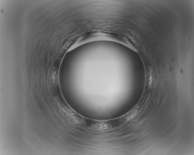 X0000054390276200508011301