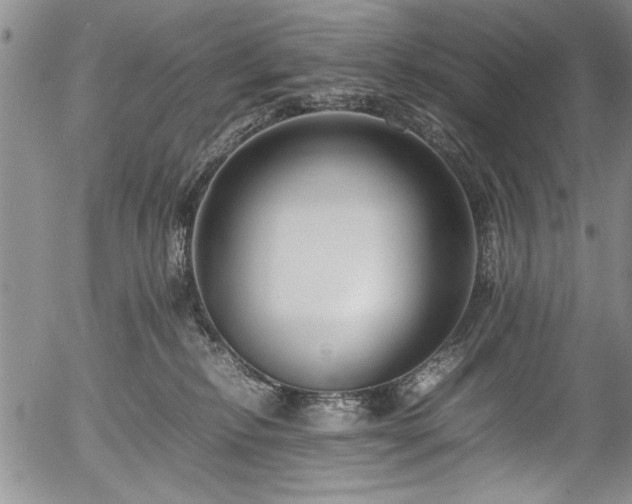 X0000054390278200508011301