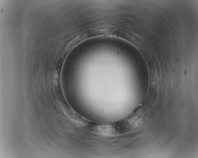 X0000054390279200508011301