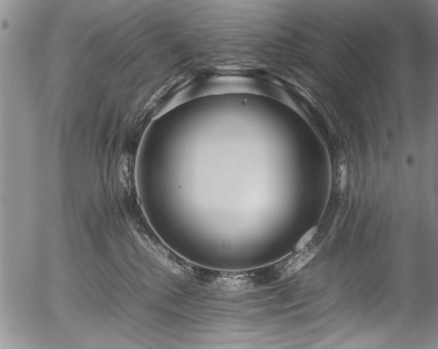 X0000054390280200508011301