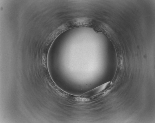 X0000054390281200508011301