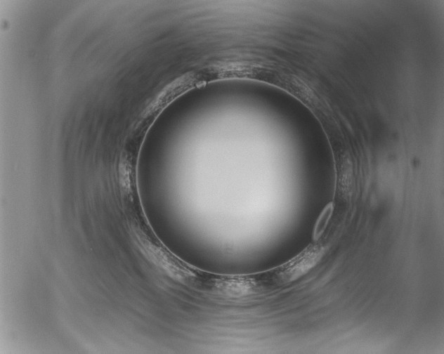 X0000054390282200508011301