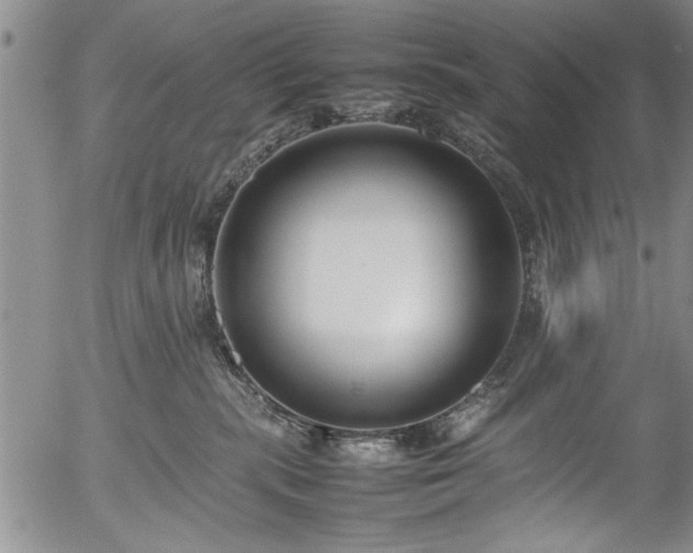 X0000054390283200508011301