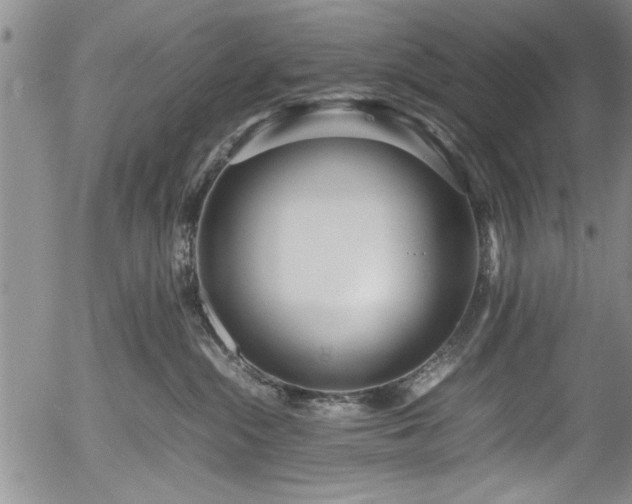 X0000054390284200508011301