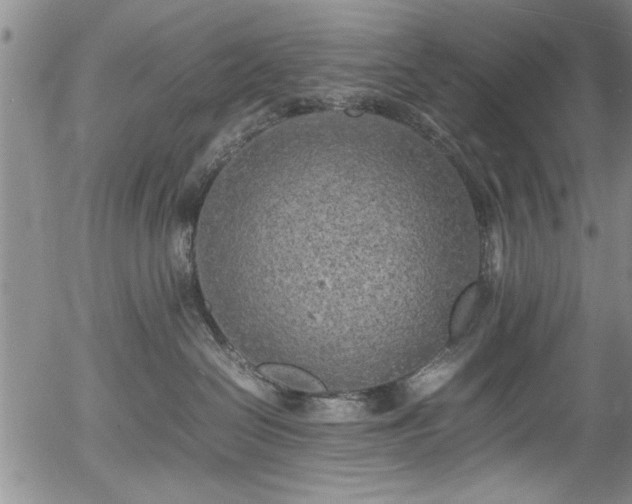 X0000054390286200508011301