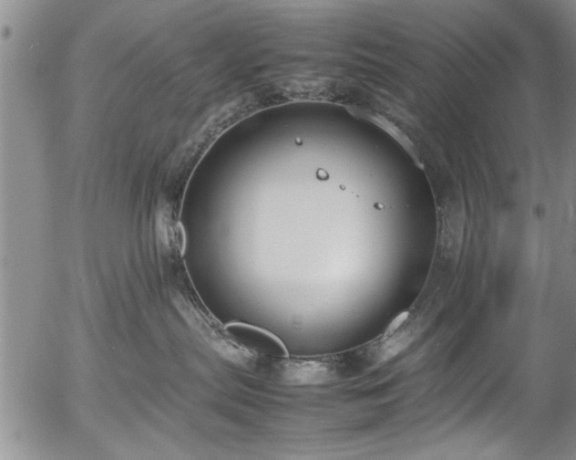 X0000054390287200508011301