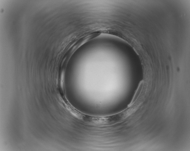 X0000054390288200508011301