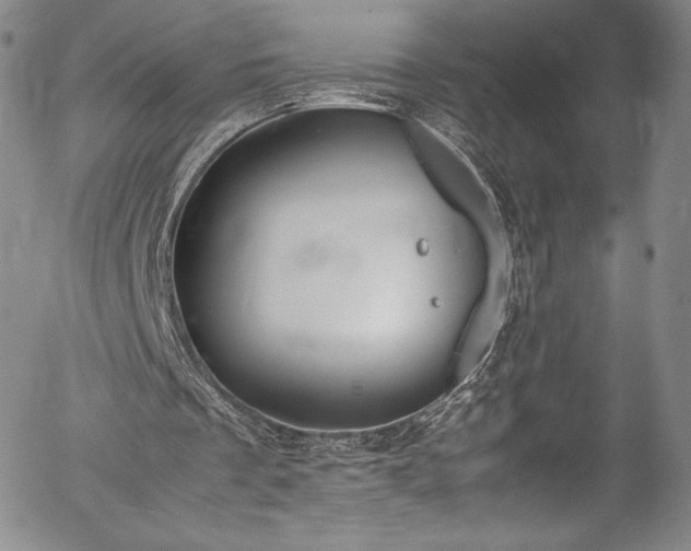 X0000054390289200508011300