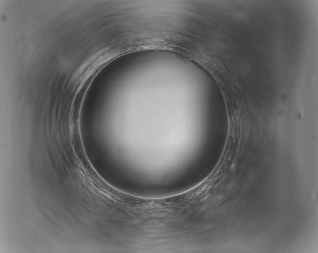 X0000054390290200508011300