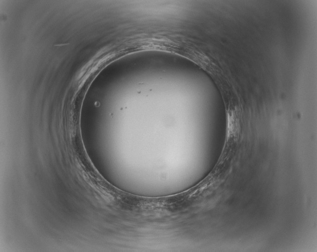 X0000054390291200508011300