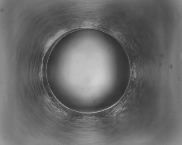 X0000054390292200508011300