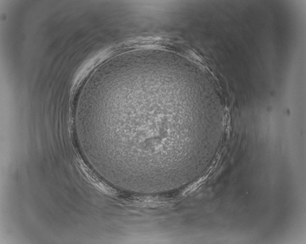 X0000054390293200508011300