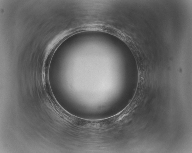 X0000054390294200508011300