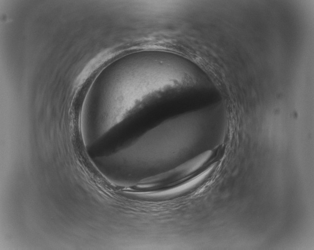 X0000054390295200508011300