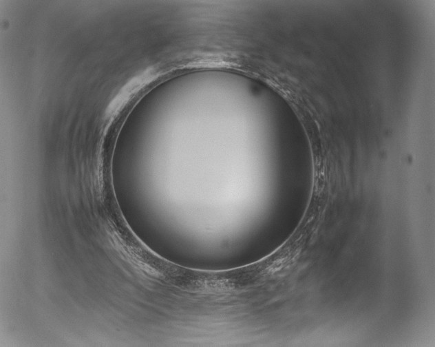 X0000054390296200508011300