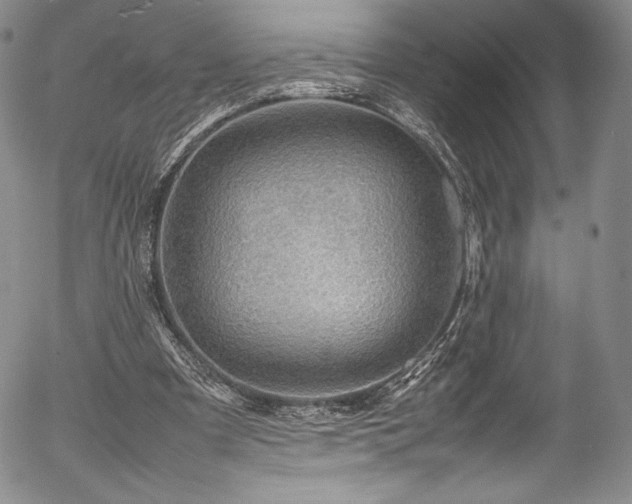 X0000054390297200508011300