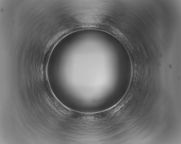 X0000054390298200508011300