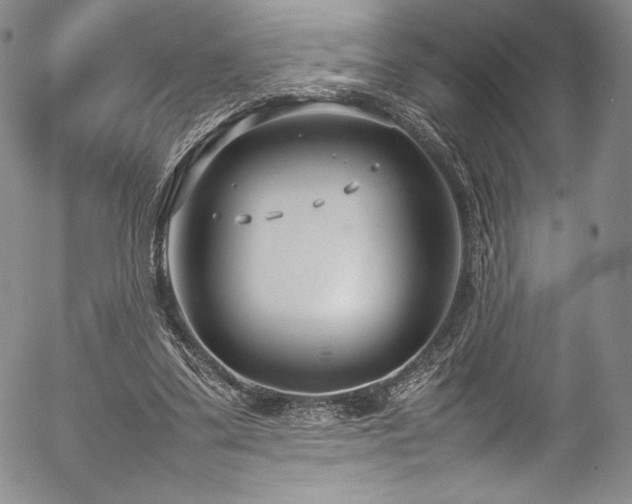 X0000054390299200508011300