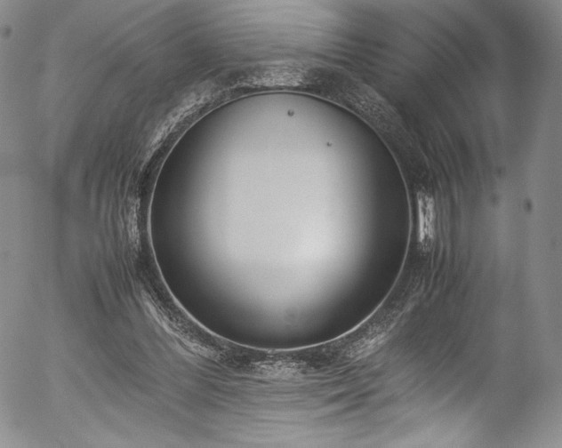 X0000054390300200508011300