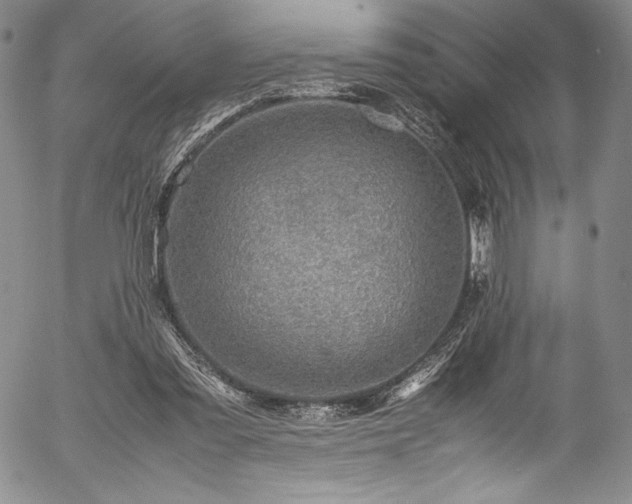 X0000054390301200508011300