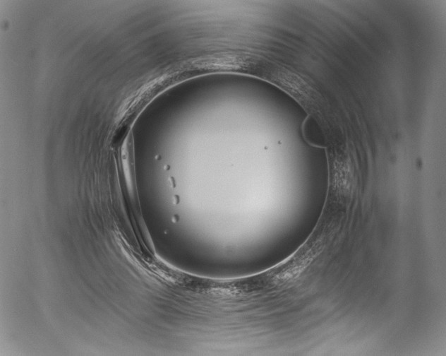 X0000054390302200508011300