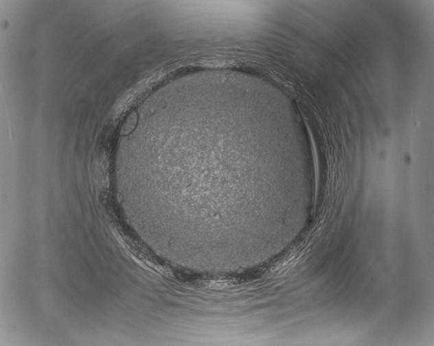 X0000054390303200508011300