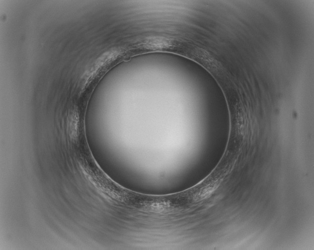 X0000054390304200508011300