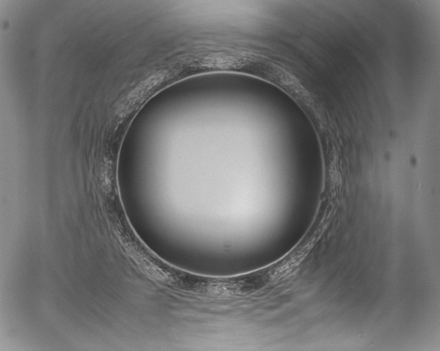 X0000054390305200508011300