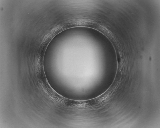 X0000054390306200508011300