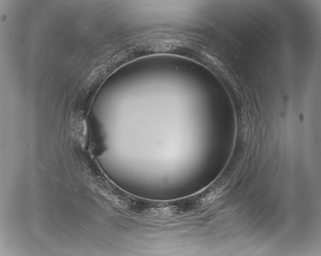 X0000054390307200508011300