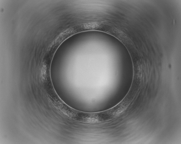 X0000054390308200508011300