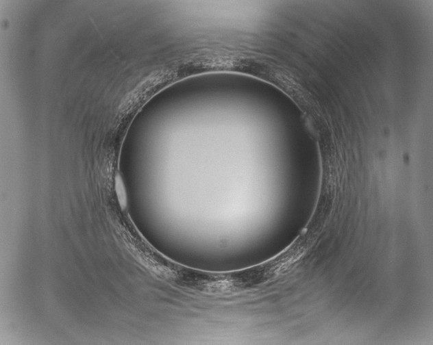 X0000054390309200508011300