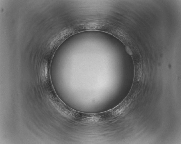 X0000054390310200508011300