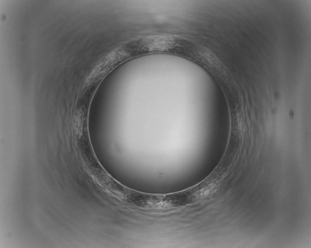 X0000054390311200508011300