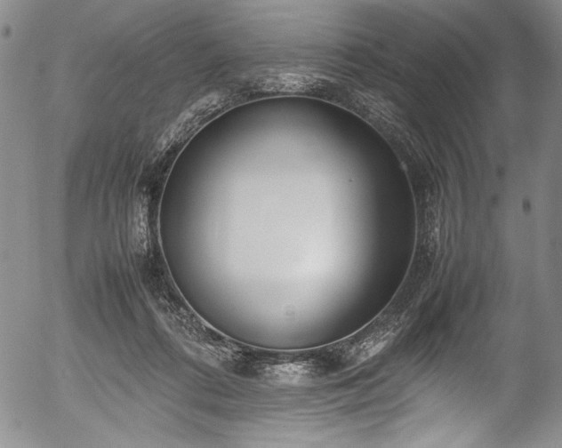 X0000054390312200508011300