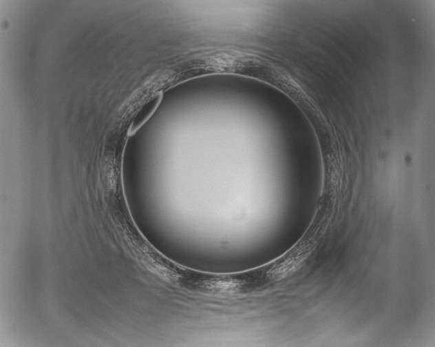 X0000054390313200508011300