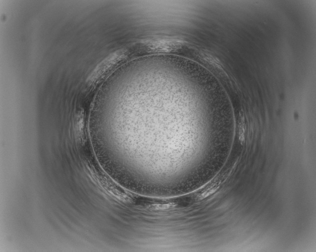 X0000054390314200508011300