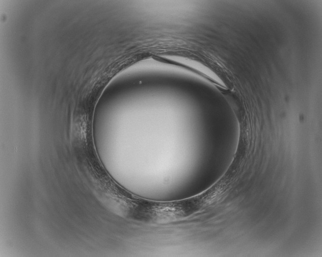 X0000054390315200508011300