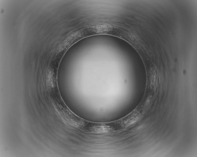 X0000054390316200508011300