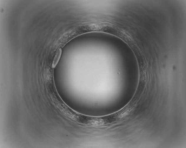 X0000054390317200508011300