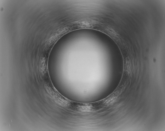 X0000054390318200508011300