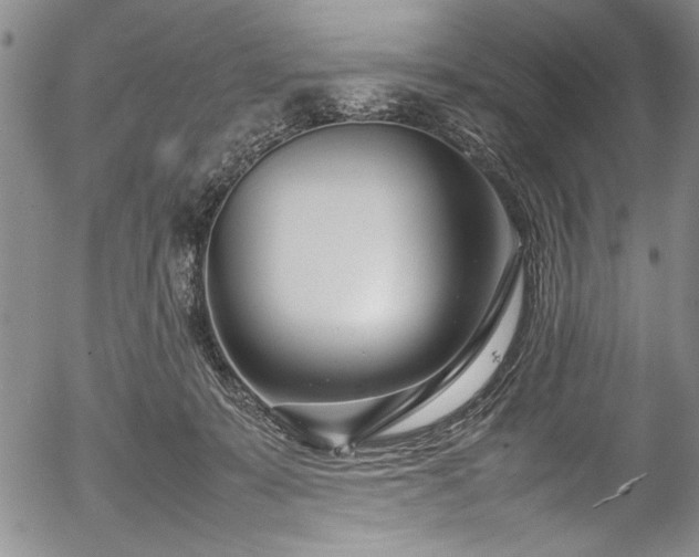 X0000054390319200508011300