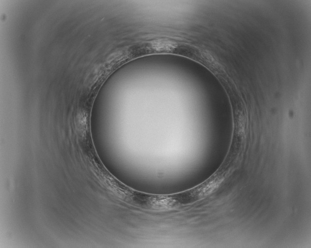 X0000054390321200508011300