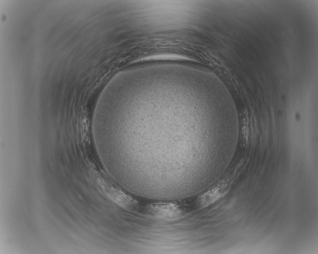 X0000054390322200508011300