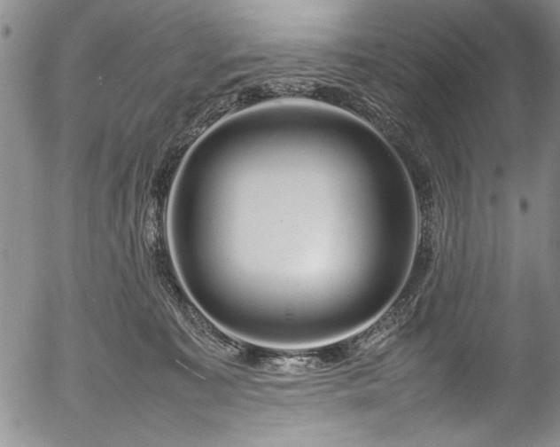 X0000054390323200508011300