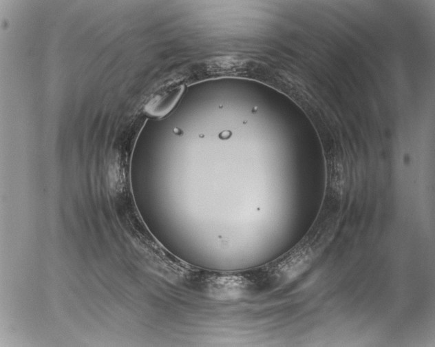 X0000054390324200508011300