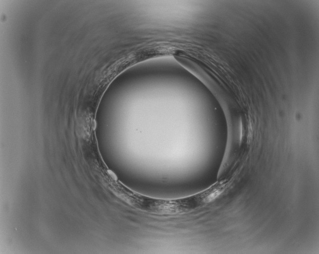 X0000054390325200508011300