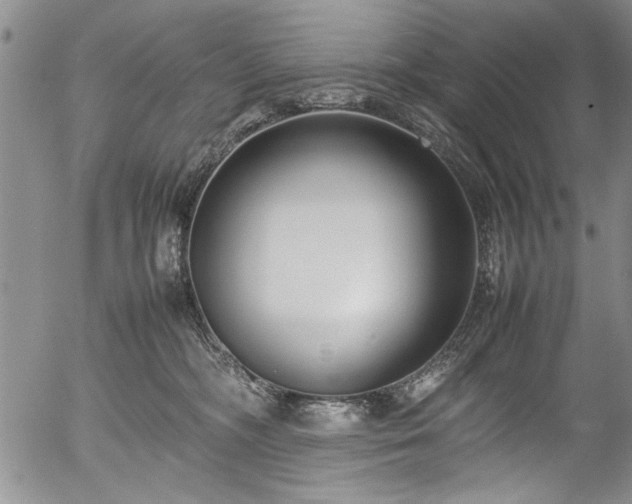 X0000054390326200508011300