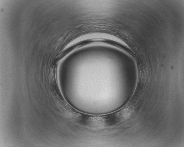 X0000054390327200508011300